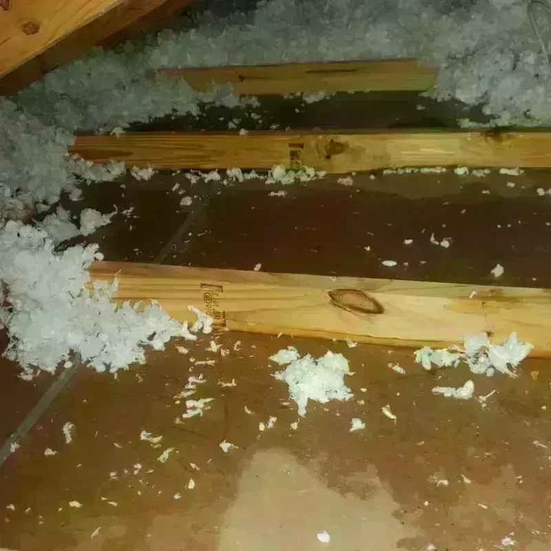 Attic Water Damage in Stow, MA